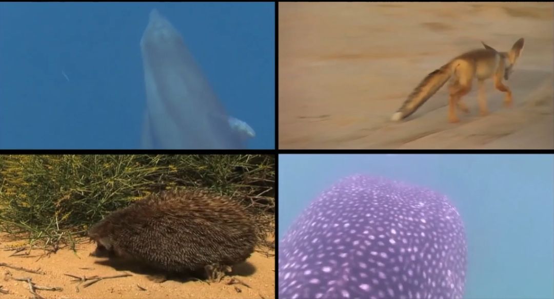 J9.COM��(�й�����)�ٷ���վ