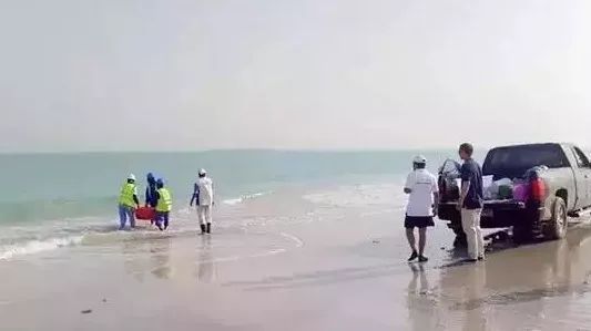 J9.COM��(�й�����)�ٷ���վ