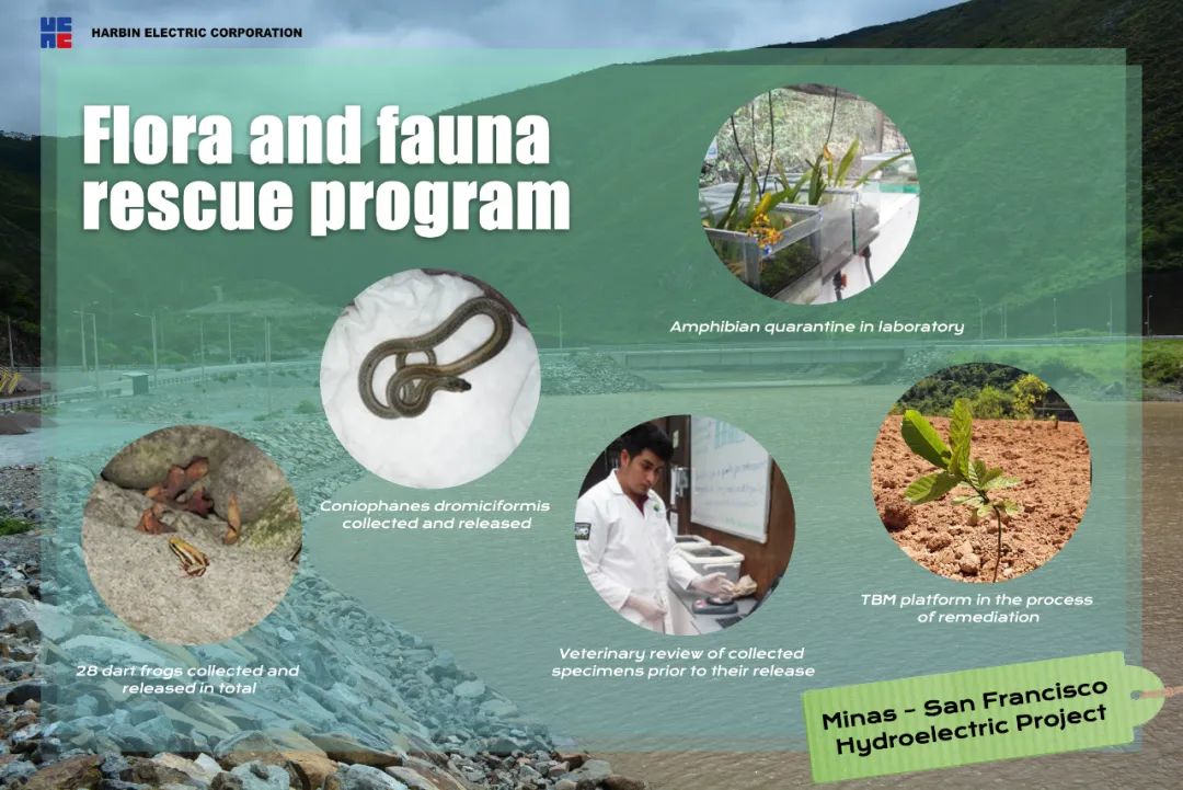 J9.COM��(�й�����)�ٷ���վ