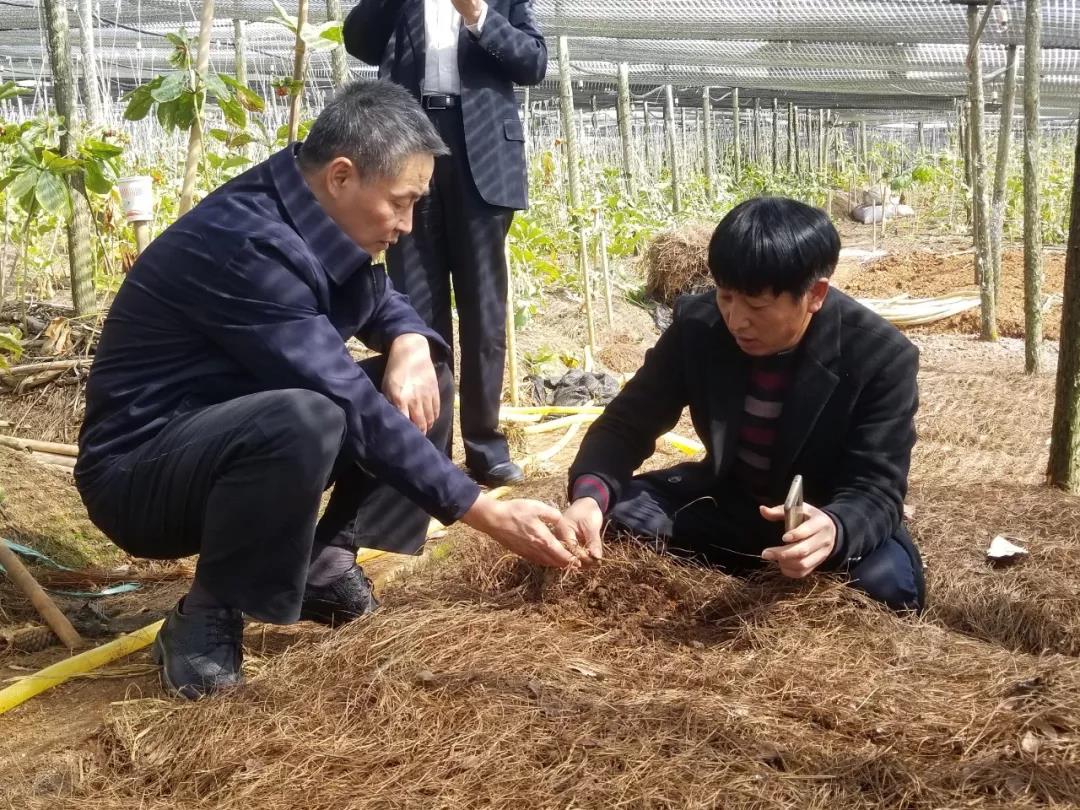 J9.COM��(�й�����)�ٷ���վ