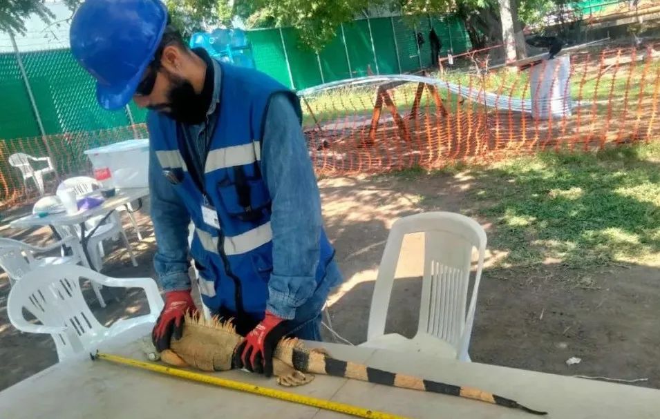 J9.COM��(�й�����)�ٷ���վ