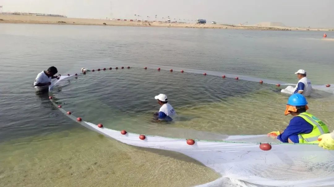 J9.COM��(�й�����)�ٷ���վ