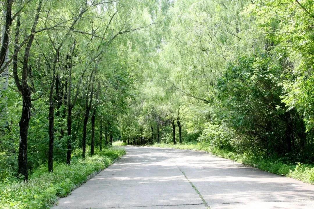 J9.COM��(�й�����)�ٷ���վ