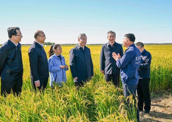 ΢ÐÅͼƬ_20240918084052.jpg ΢ÐÅͼƬ_20240918084052.jpg