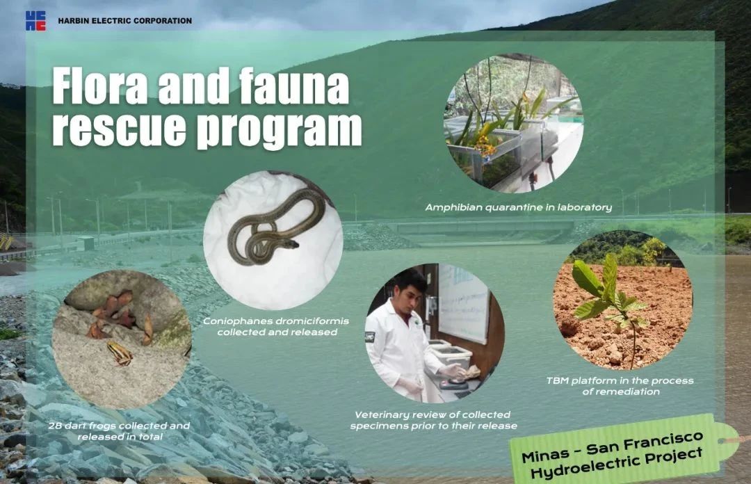 J9.COM��(�й�����)�ٷ���վ