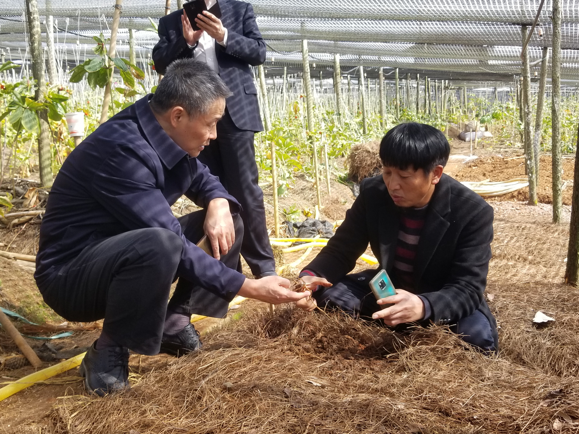 J9.COM��(�й�����)�ٷ���վ