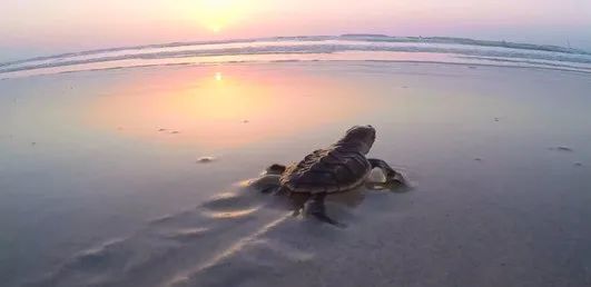 J9.COM��(�й�����)�ٷ���վ