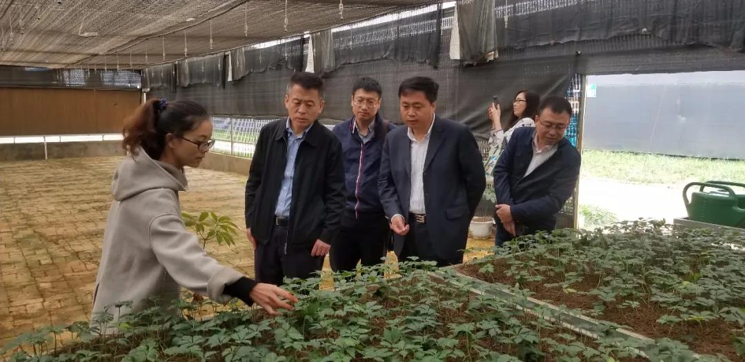 J9.COM��(�й�����)�ٷ���վ