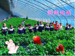 98DDE03A40C709A24BDE74535FE_D570A33C_3CEBC 98DDE03A40C709A24BDE74535FE_D570A33C_3CEBC