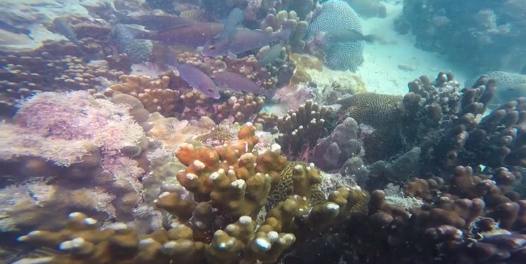 J9.COM��(�й�����)�ٷ���վ