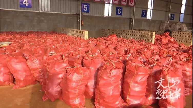 577C3BD534185A14B15292E6C30_52225509_DDE7.jpg?e= 577C3BD534185A14B15292E6C30_52225509_DDE7.jpg?e=