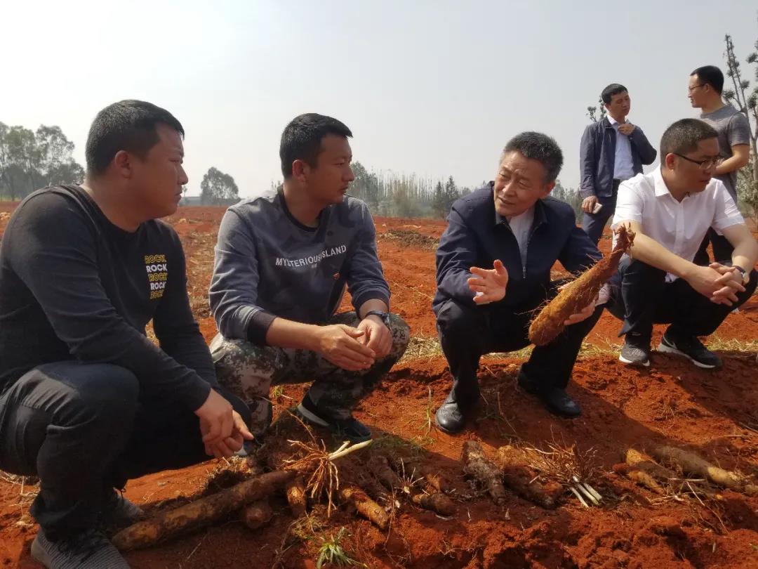 J9.COM��(�й�����)�ٷ���վ