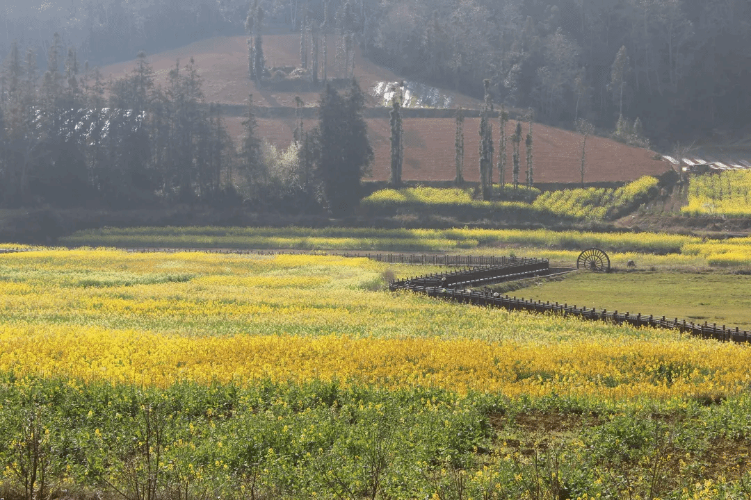 J9.COM��(�й�����)�ٷ���վ