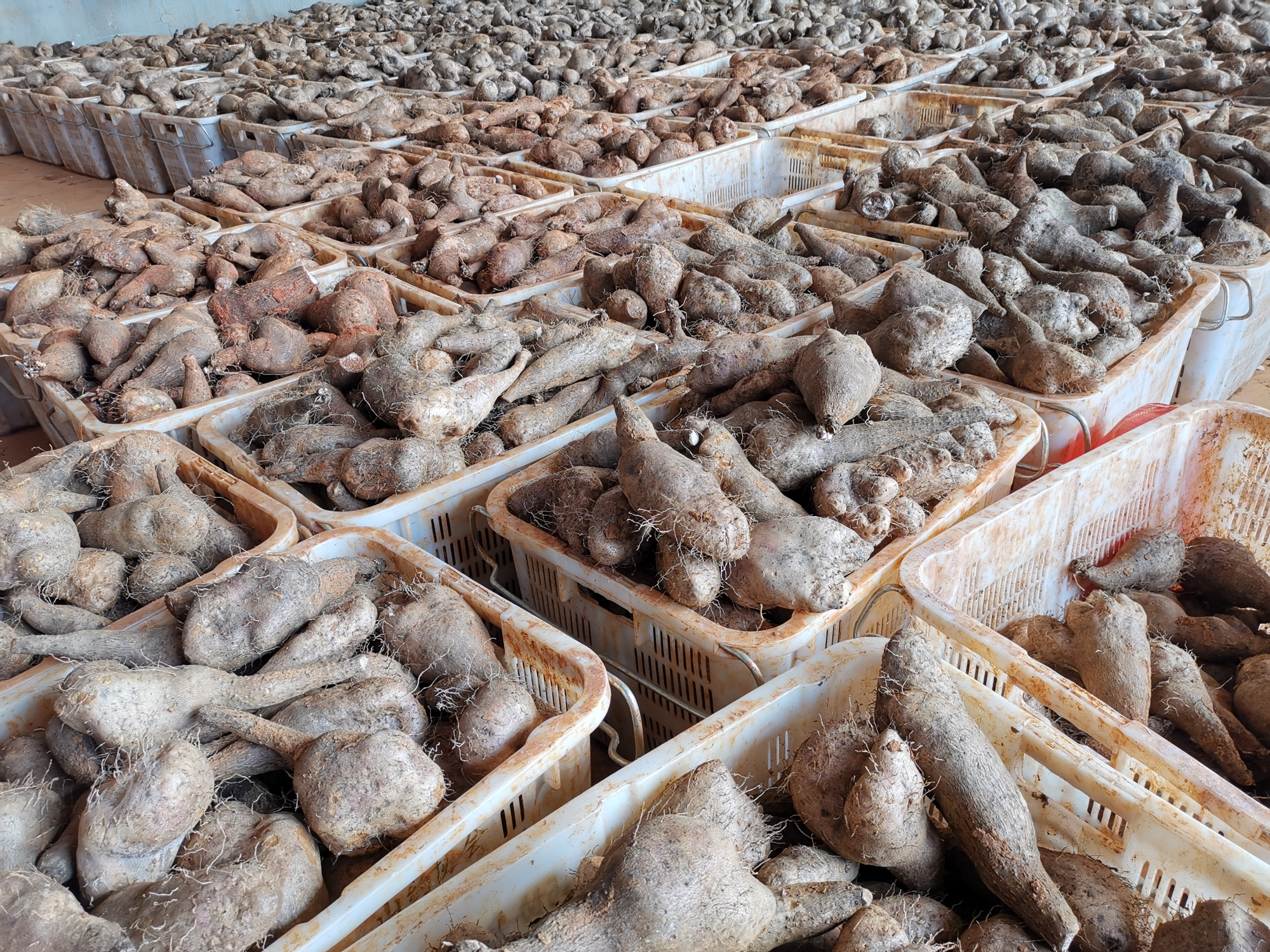 J9.COM��(�й�����)�ٷ���վ