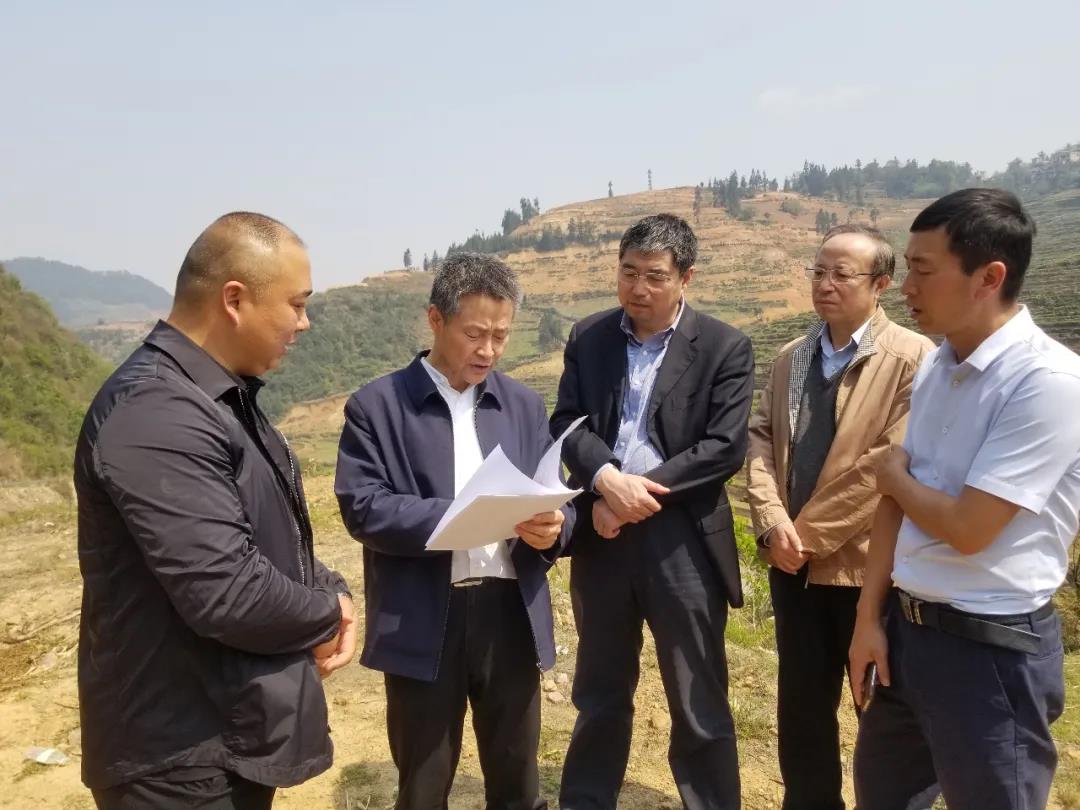 J9.COM��(�й�����)�ٷ���վ